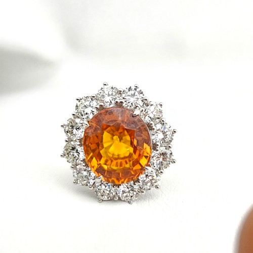 이미지 상세보기